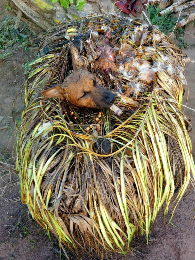  Voodoo Protection Spells: Shield of the Ancestors